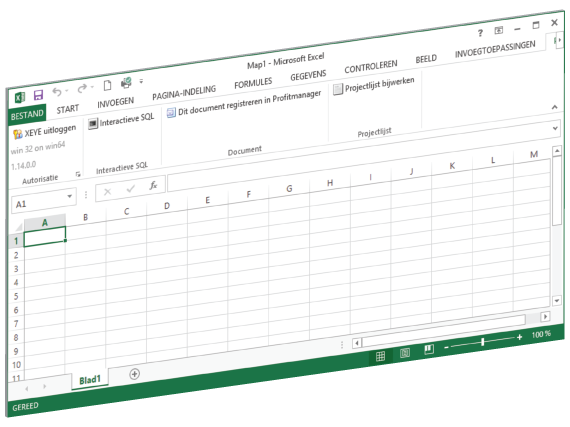 Microsoft Excel